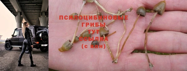 спайс Михайловск