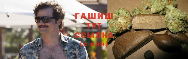 индика Михайловка