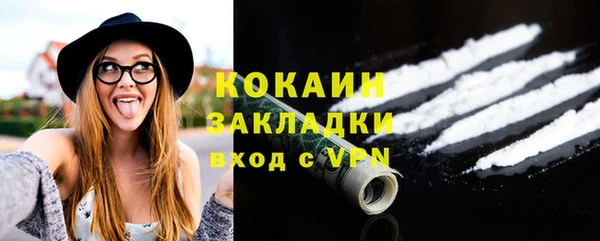 индика Михайловка