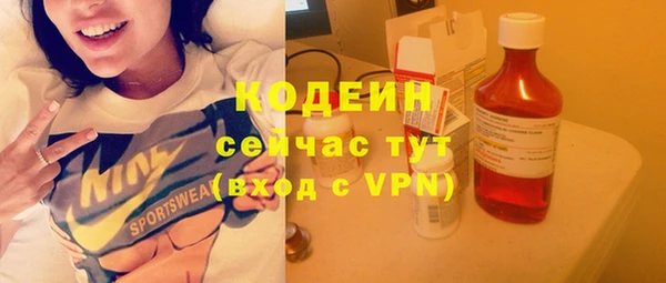 индика Михайловка