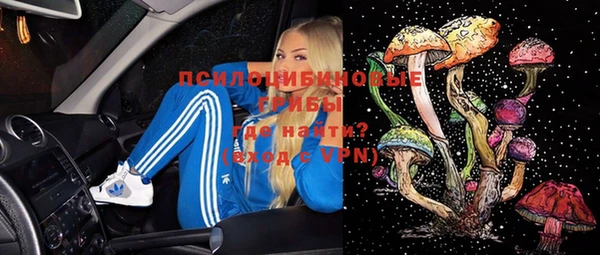 индика Михайловка