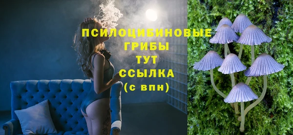 индика Михайловка