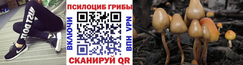 Купить  Пионерский  Галлюциногенные грибы мухоморы 